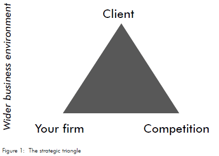 Figure 1. The strategic triangle